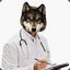 dr.wolfjob