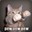 BoosTeDCaT