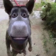 raulgoat