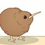 UR Local Kiwi