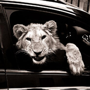 CHAMPIK - steam id 76561199204722171