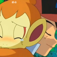 悲傷的猴子-Mirageの子