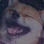 AstroDoge
