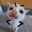 Yo蕉座