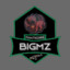 BigMZ