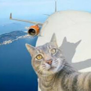 _КоТэ_ПоД_нАрКоТэ_ avatar