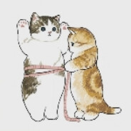 罗佐瓦伊波普卡