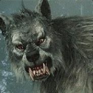 Schattenwolf - steam id 76561197971121562