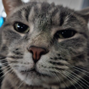 𝔧𝔞𝔵 - steam id 76561198300647081