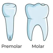 teeth stealer avatar