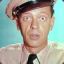 Barney Fife