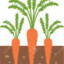 Lvl 8 Carrot Plant