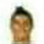 bluemeno