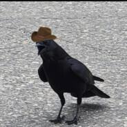 攻其无备，出其不意