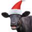 christmas cow