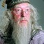 Albus Dumbledoor