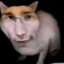 cacmaster