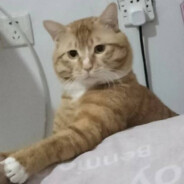 我真是白银小菜儿