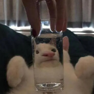 就没有人一起玩吗