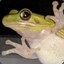 Sal