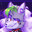 Regi's Avatar