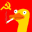Shamoo's avatar