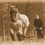 Blanche en zen peird