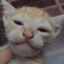 Mister meaty