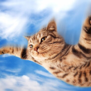 Filemonek zawieruchy