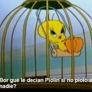 Piolin
