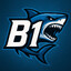 B1
