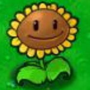 你知道向日葵花语吗？