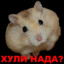HOMIK