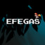 EFEGAS