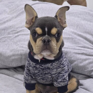 MilliGirl