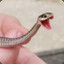 Little Snek