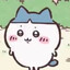 haru (春春)