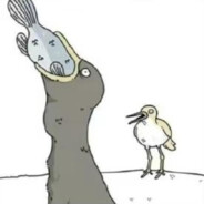 口（ ▥ ∀ ▥ ）b