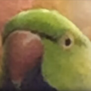 squindreal