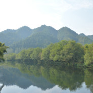 淼小飞