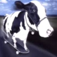 cow