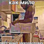 Силикатный кирпич's avatar