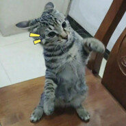 跳伞我也导一导，能爽一秒是一秒