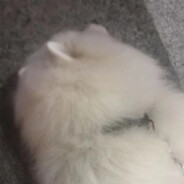 一棍搅屎根鬼魅