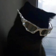 miss the bright moon