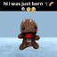 hi i was just born :)