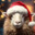 Festive Sheep