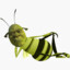 Shreck Bee