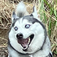 Tom