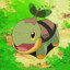 Turtwig